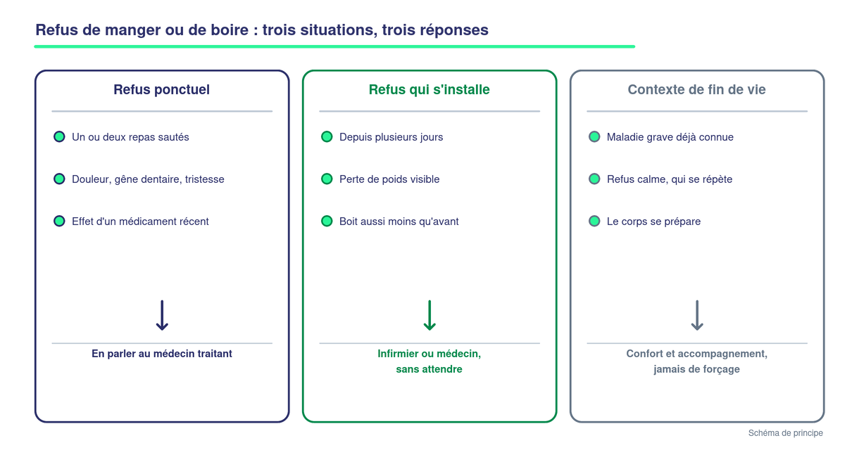 Schéma présentant trois situations de refus alimentaire chez la personne âgée et leur orientation : refus ponctuel vers le médecin traitant, refus qui s'installe vers un infirmier ou un médecin sans attendre, contexte de fin de vie vers le confort et l'accompagnement sans forçage