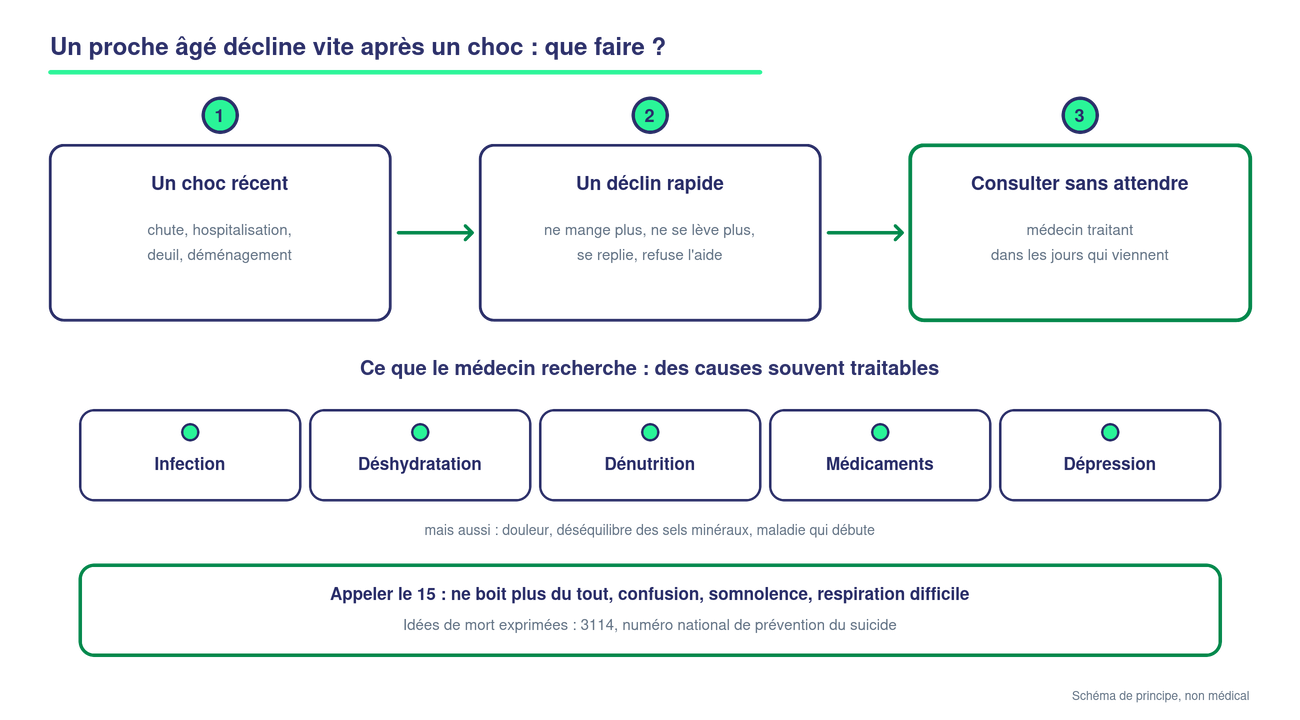 Schéma en trois étapes : un choc récent (chute, hospitalisation, deuil, déménagement), puis un déclin rapide (ne mange plus, ne se lève plus, se replie, refuse l'aide), puis consulter sans attendre le médecin traitant. En dessous, cinq causes souvent traitables que le médecin recherche : infection, déshydratation, dénutrition, médicaments, dépression. En bas, appeler le 15 en cas de signes de gravité et le 3114 si la personne exprime des idées de mort.